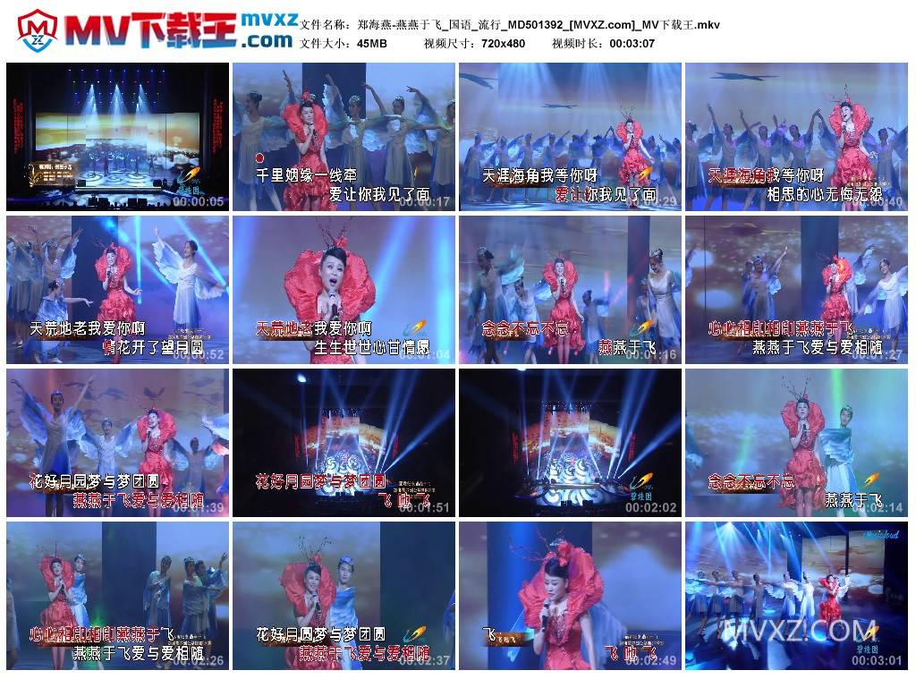 郑海燕-燕燕于飞_国语_流行_MD501392